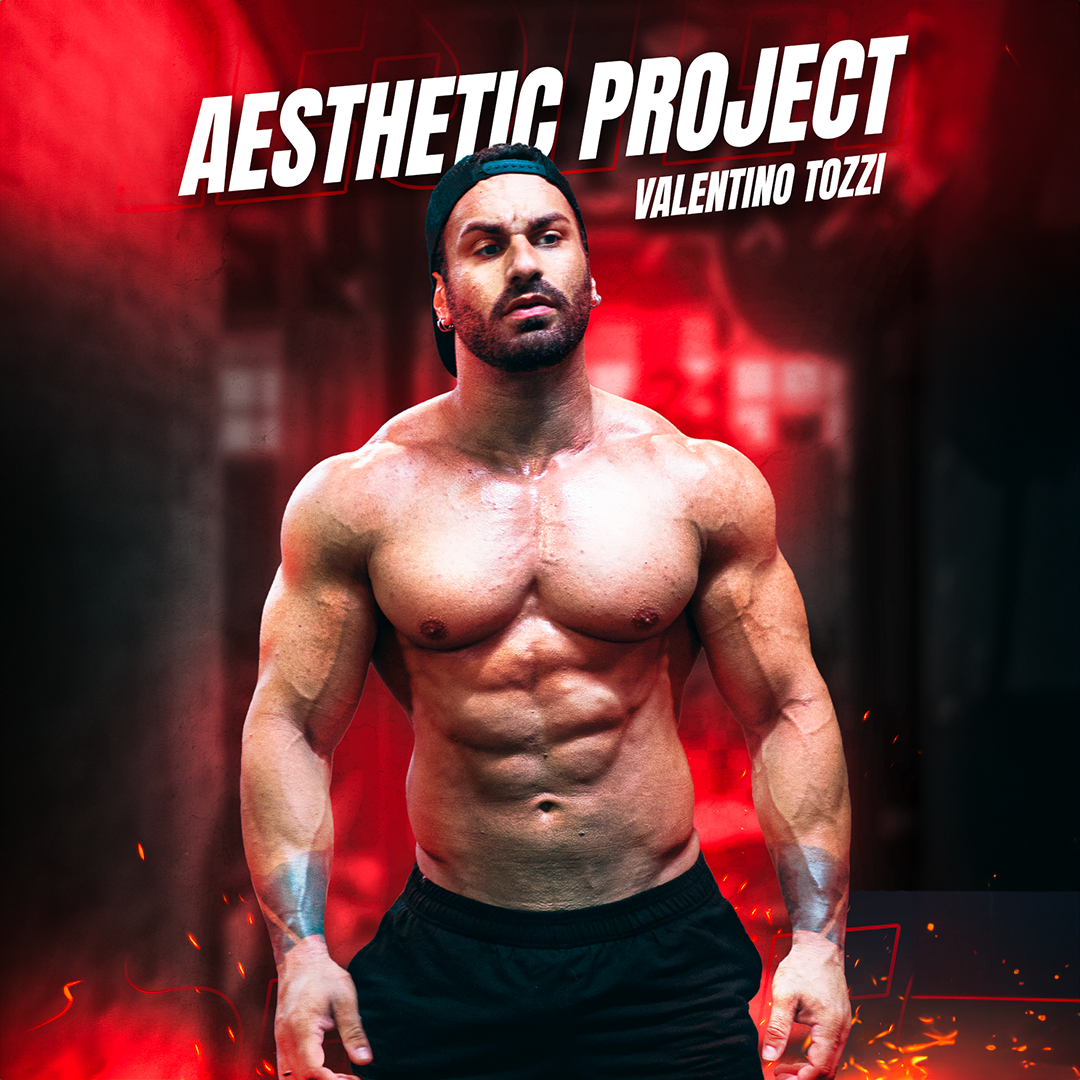 AESTHETIC PROJECT